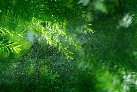 ɭɫֲˮ 4K۱ֽ 3840x2560
