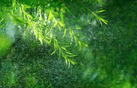 Ҷˮ3440x1440<font color='red'>ֽ</font>