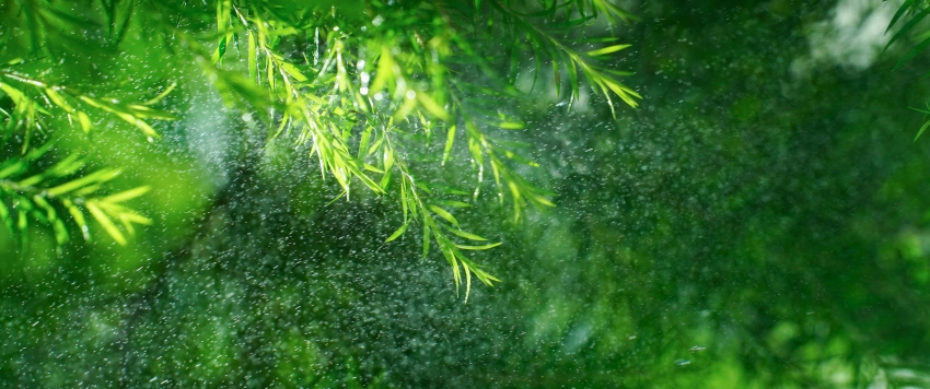 Ҷˮ3440x1440ֽ
