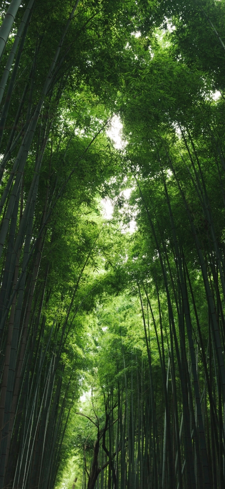 ïɫ5K羰ֻֽ