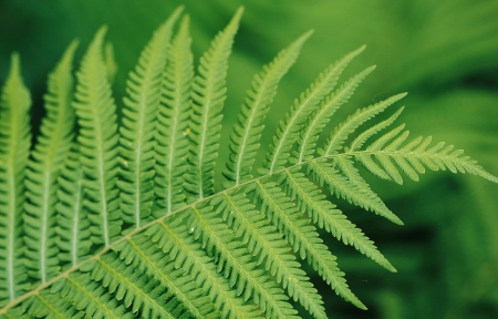 ɫާֲ  3440x1440ֽ