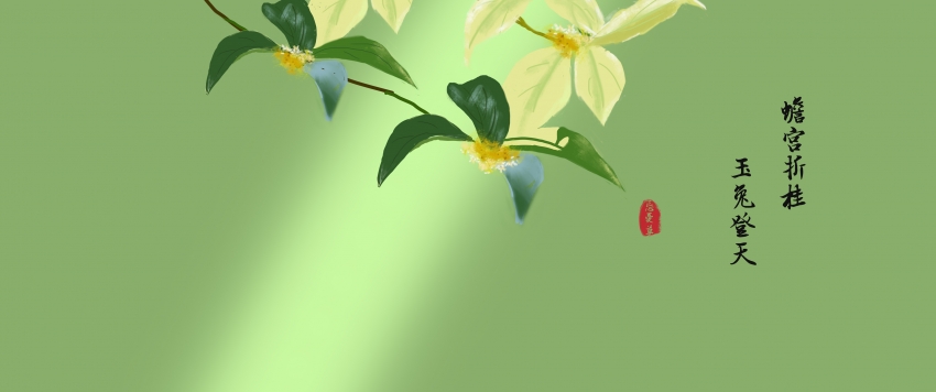 󸹬۹,õ  3440x1440ֽ
