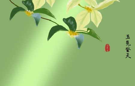 󸹬۹,õ  <font color='red'>3440</font>x1440ֽ