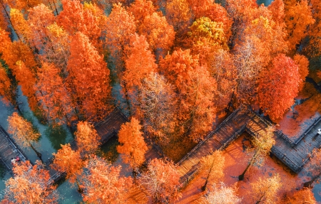 ɫɼ ＾羰4Kֽ3840x2160