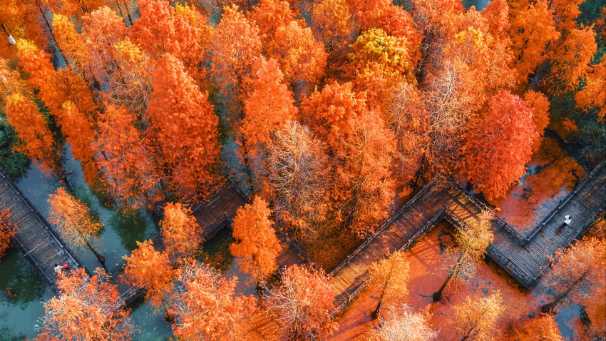 ɫɼ ＾羰4Kֽ3840x2160