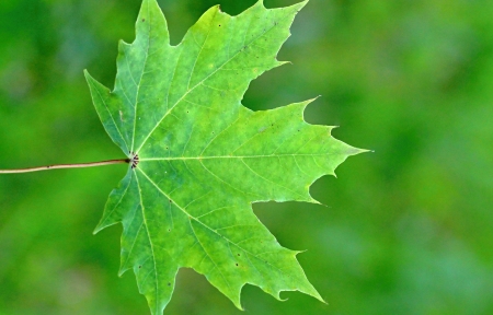 ɫҶ<font color='red'>3440</font>x1440ֽ
