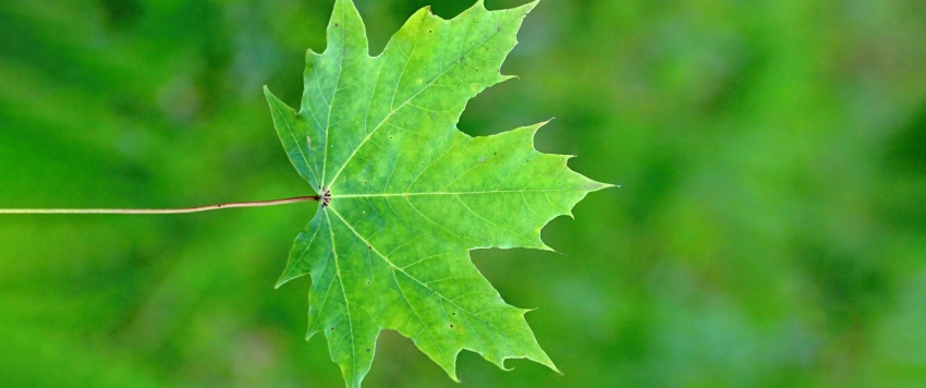 ɫҶ3440x1440ֽ