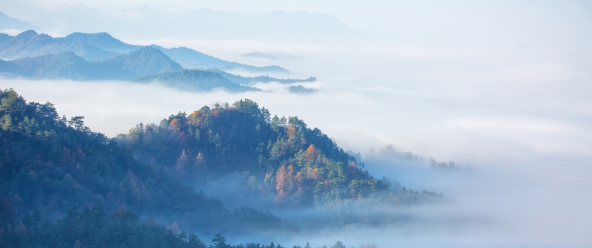 ɭ  Ψ3440x1440羰ֽ