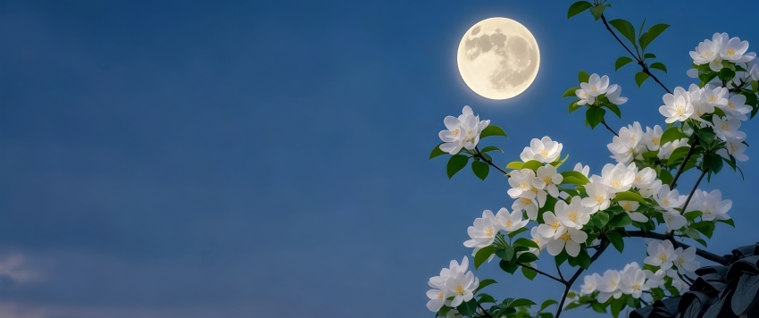 Χǽ ҹ  Ļ 3440x1440ֽ