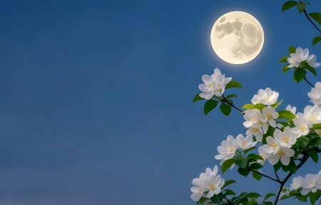 Χǽ ҹ  Ļ 3440x1440ֽ