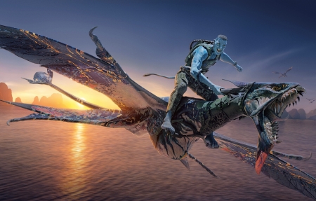 ��������3��4k���Ա�ֽ