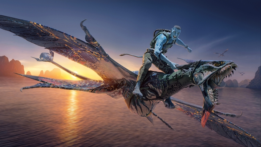 ��������3��4k���Ա�ֽ