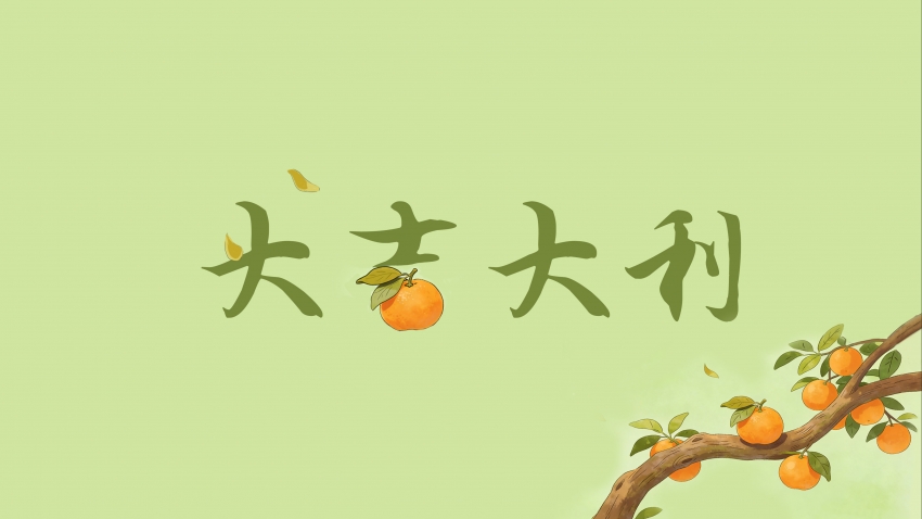 �󼪴��� ���� ���� 4K��ֽ