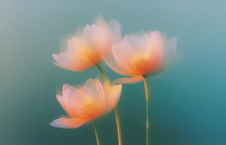 �������ﻨΨ������4K��ֽ3840x2400