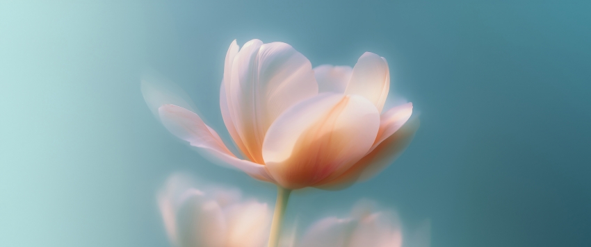 ���ﻨ3440x1440��������ֽ