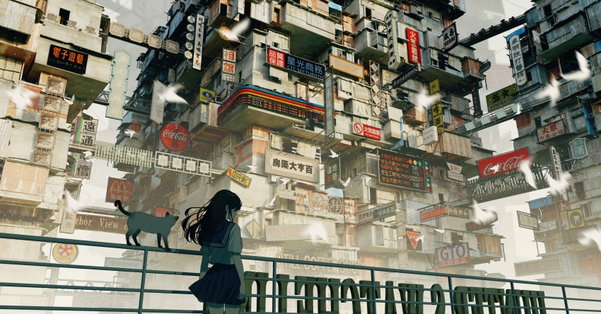 ������Ůѧ��վ�� ���� è �ɳ��н��� ���� 4K������ֽ