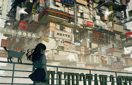 ������Ůѧ��վ�� ���� è �ɳ��н��� 3440x1440������������ֽ���