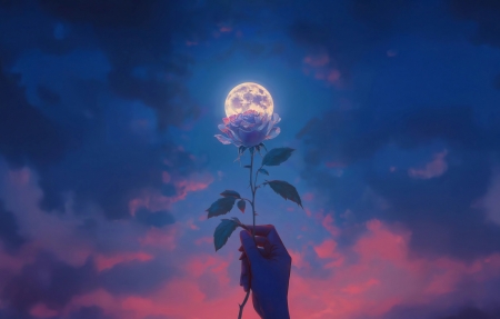 Ψ����֮���� 4k������ֽ����