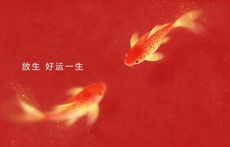 ���� ��������һ�� 4K��ֽ 3840x2160