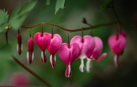 �ɰ�ĵ��4K�����ֽ3840x2160