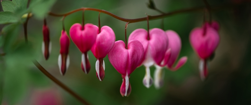 �ɰ�ĵ�� 3440x1440��������ֽ