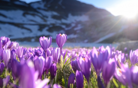 �Ϸ��컨4k�羰��ֽ3840x2160