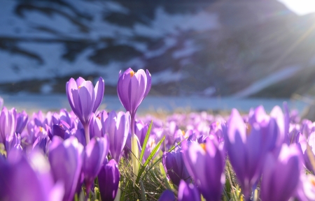 �Ϸ��컨3440x1440��������ֽ