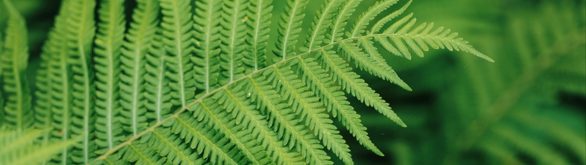 ��ɫާ��ֲ��5120x1440���������۱�ֽ