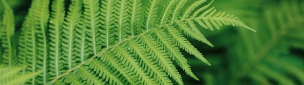 ��ɫާ��ֲ��5120x1440���������۱�ֽ