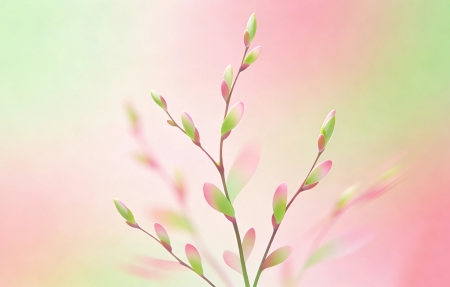 ��ѿ��֦ ���� ��Լ �滭 4K��ֽ3840x2160